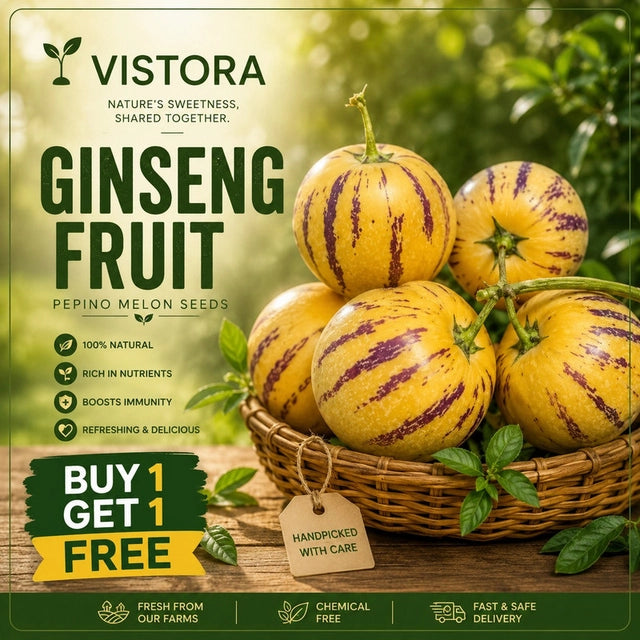 π Buy 1 Get 1 Free π GINSENG FRUIT PEPINO MELON SEEDS
